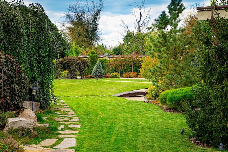 Do Not Forget the Lawn