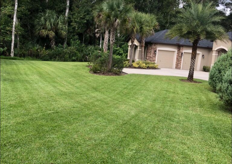 Beautifully maintained residential lawn with lush green grass in front of a home