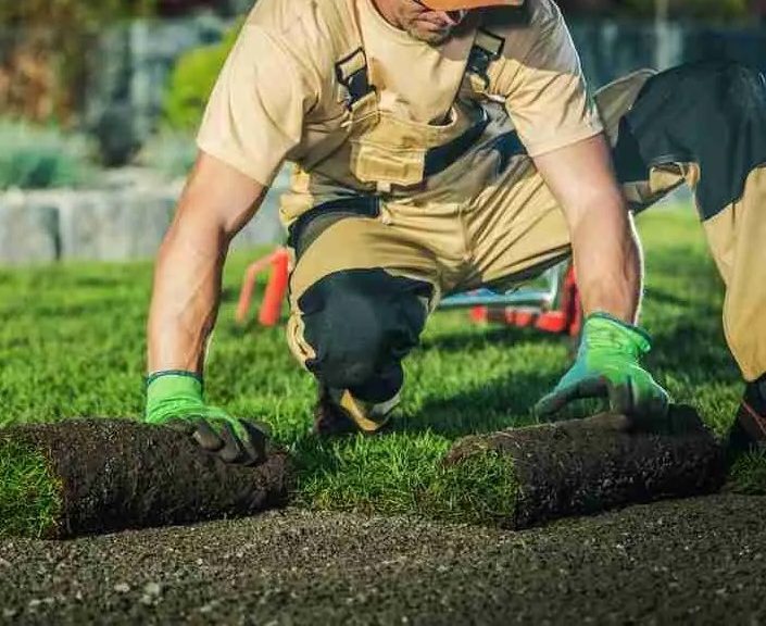 Sod Delivery & Installation
