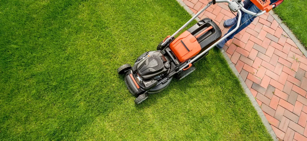 Professional lawn maintenance
