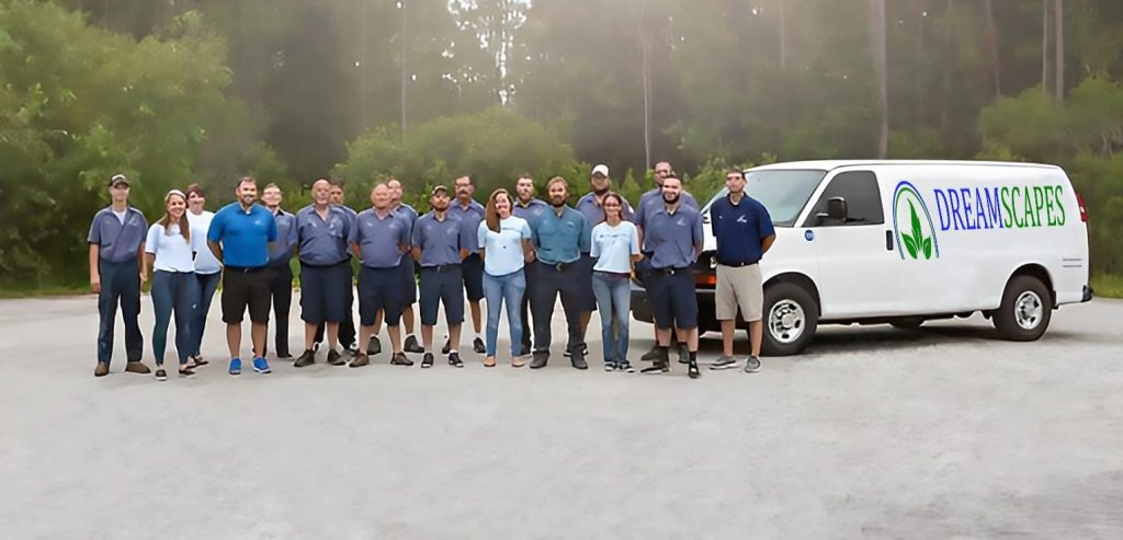 Dreamscapes team
