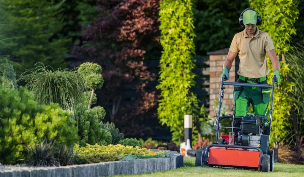 Professional lawn care and maintenance