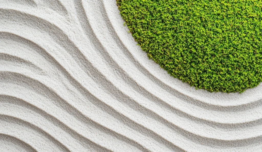 Minimalist Sand and Raked Patterns