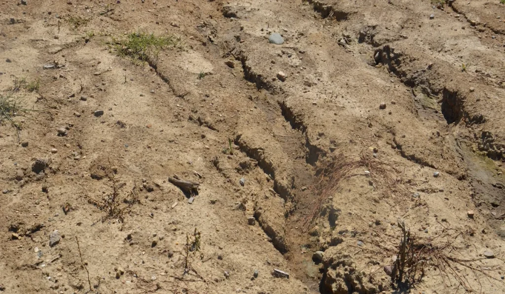 Prevent Soil Erosion During Heavy Rain