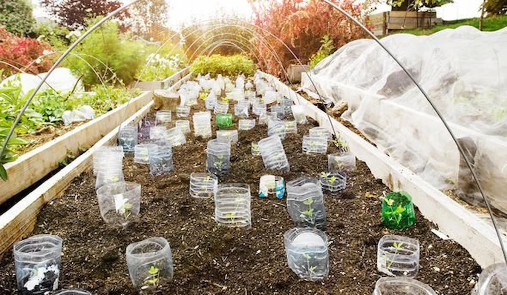 Protecting Plants Before the Storm Hits