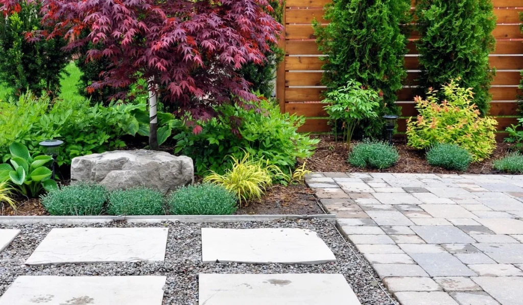Backyard Gravel and Natural Elements