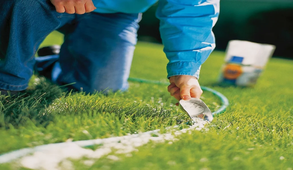 Shaping and Marking the Garden Bed