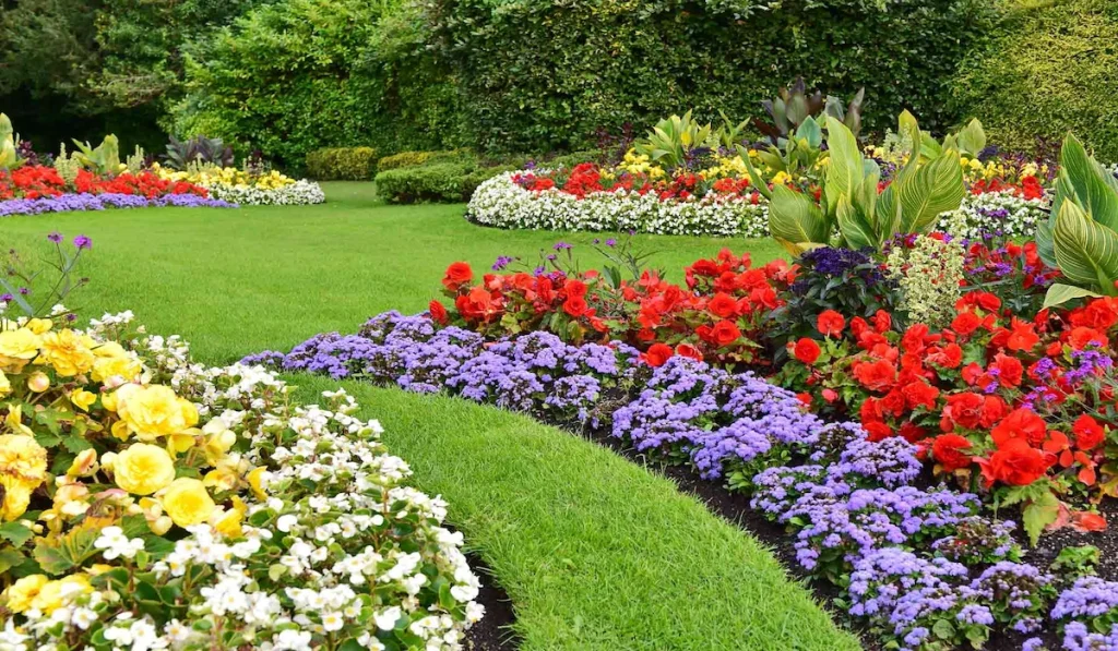 Choosing plants for landscape and garden