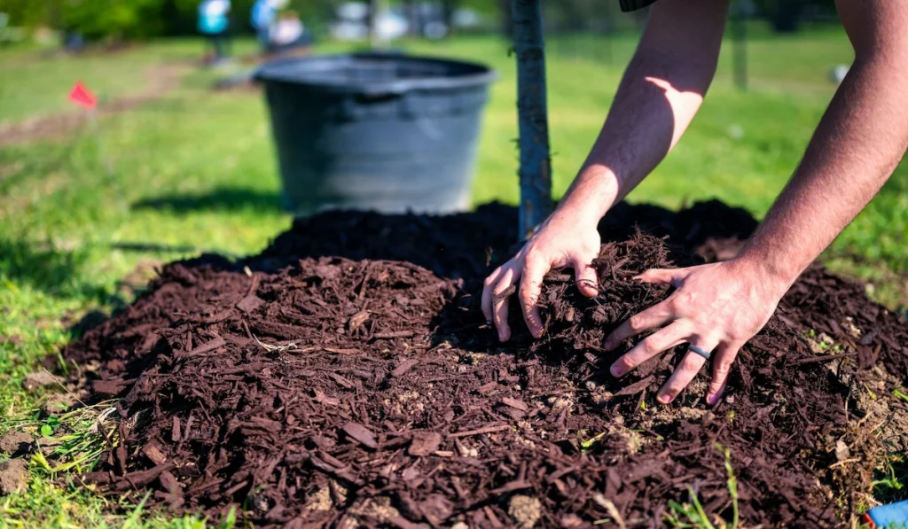Mulching soil