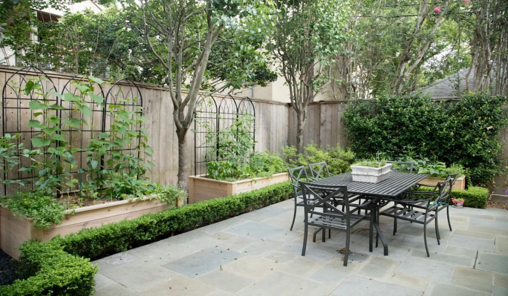 Best Place to Put Your Trellis