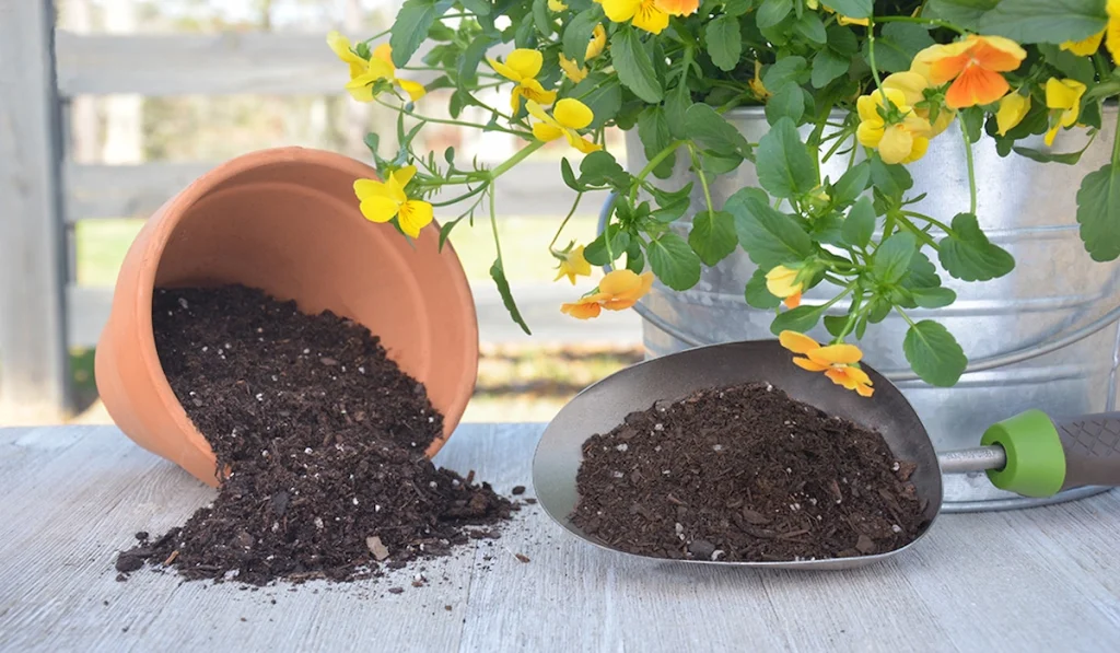 Best Potting Soil Mix for Different Plants