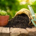 How to Choose the Best Potting Soil Mix for Your Garden