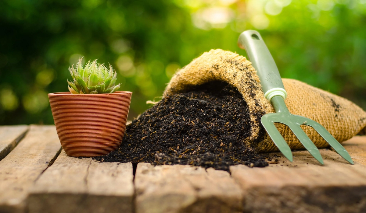 How to Choose the Best Potting Soil Mix for Your Garden