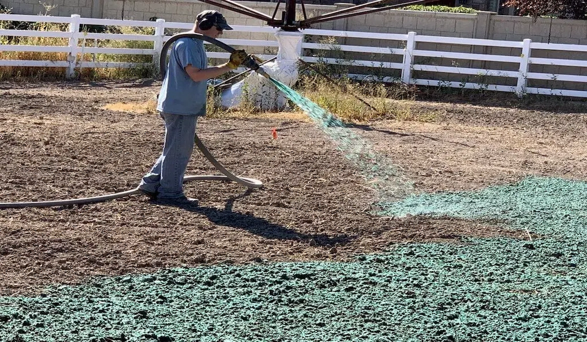 What Is Hydroseeding and How Much Does It Cost?