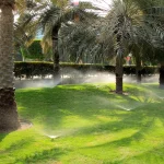 Drip Irrigation System for Trees | Expert Guide