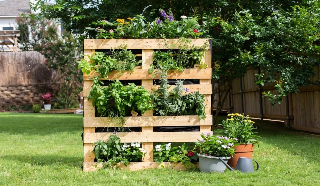 What Is a Pallet Planter