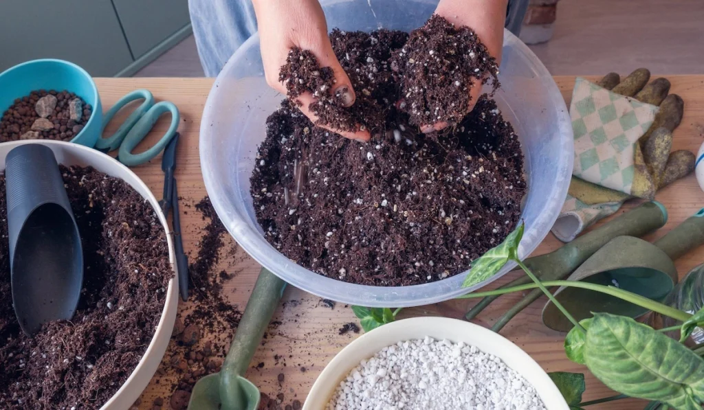 budget friendly potting mix at home