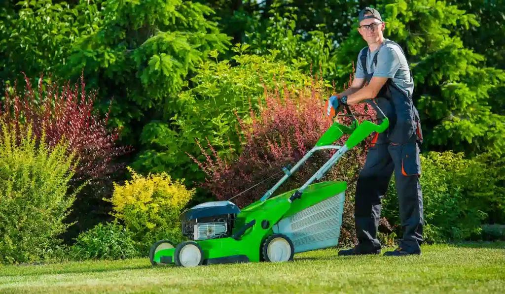Spring Lawn Care Tips