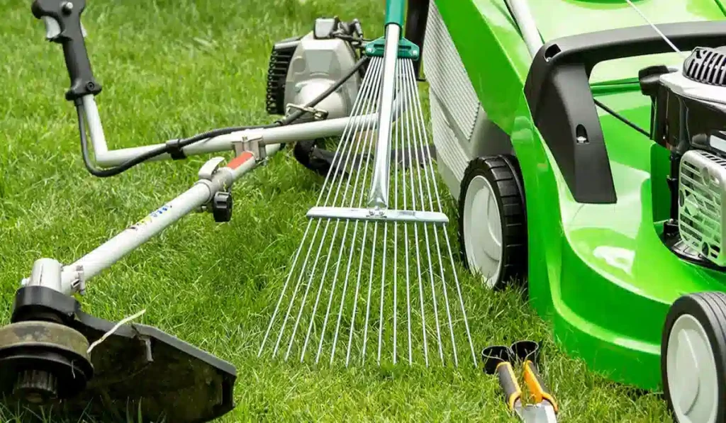 Choosing the Right Tools and Products for Seasonal Lawn Care