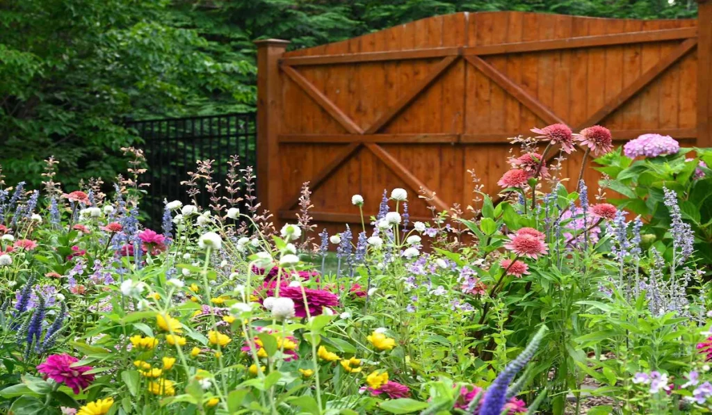 Cottage-Style Planting