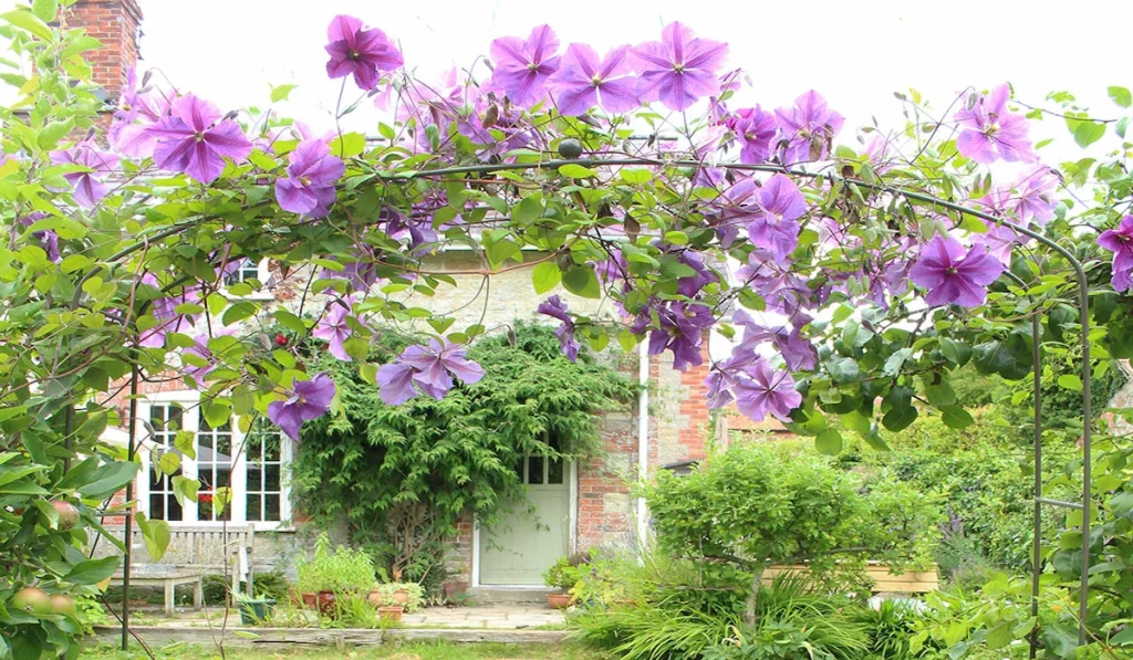 Garden Arches Covered with Climbing Plants