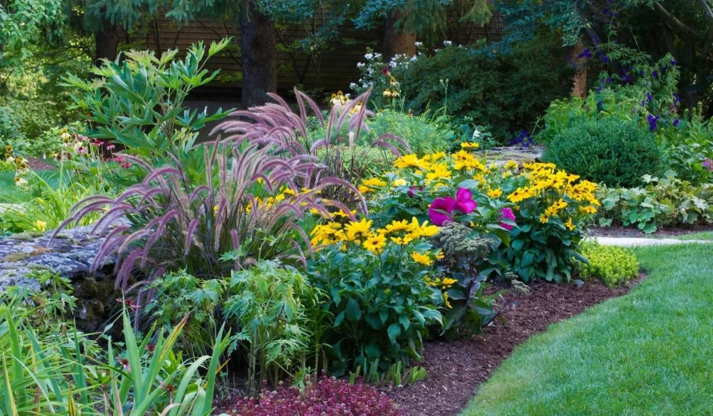 Mixed Perennial Gardens