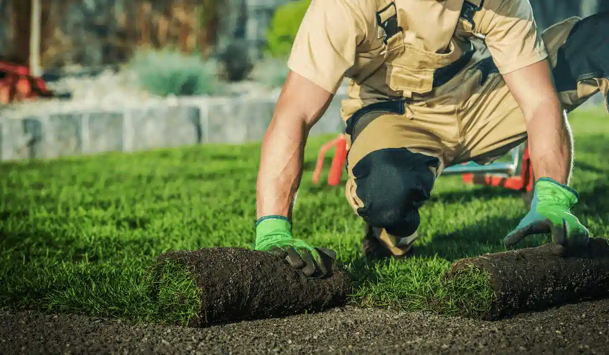 Sod Installation & Lawn Services