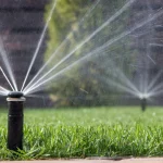 Sprinkler Head Types: How to Pick the Right One for a Florida Lawn