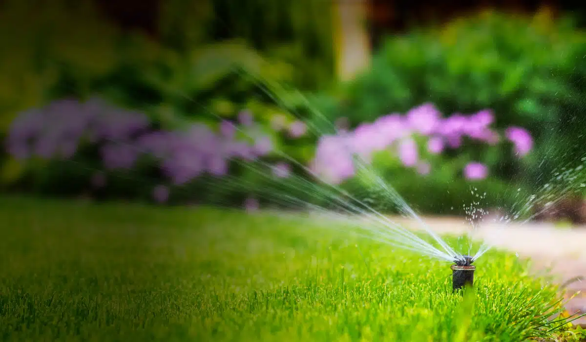 Irrigation System Checks