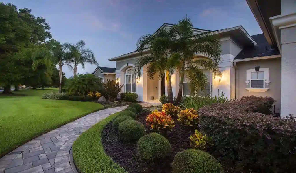 10 Best Palm Trees for Landscaping in 2026