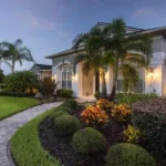 10 Best Palm Trees for Landscaping in 2026