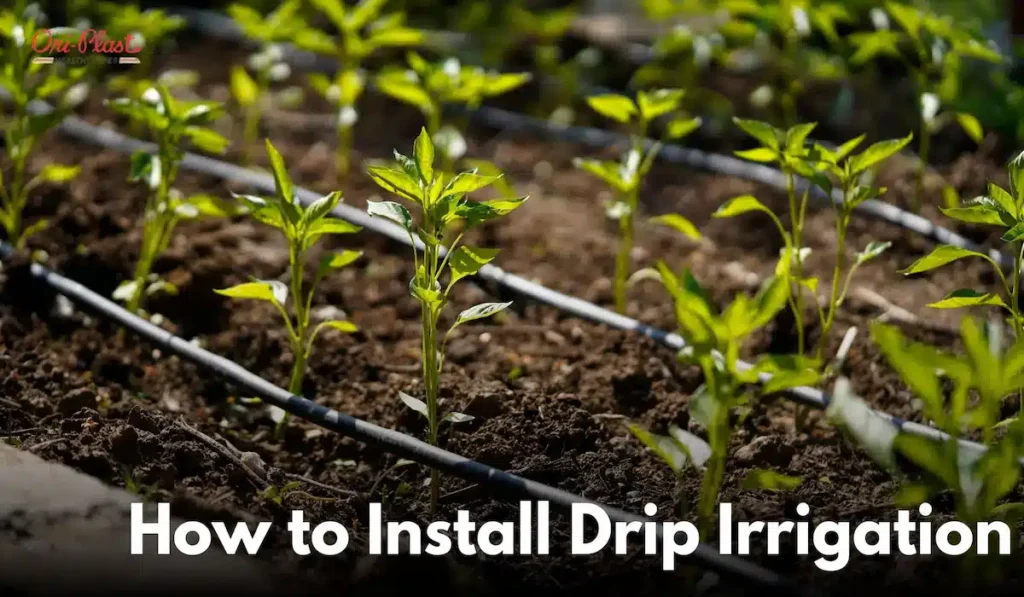 How to Install an Irrigation Drip System: Complete Step-by-Step Guide from a Palm Coast Expert