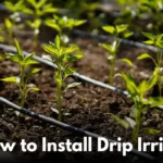 How to Install an Irrigation Drip System: Complete Step-by-Step Guide from a Palm Coast Expert