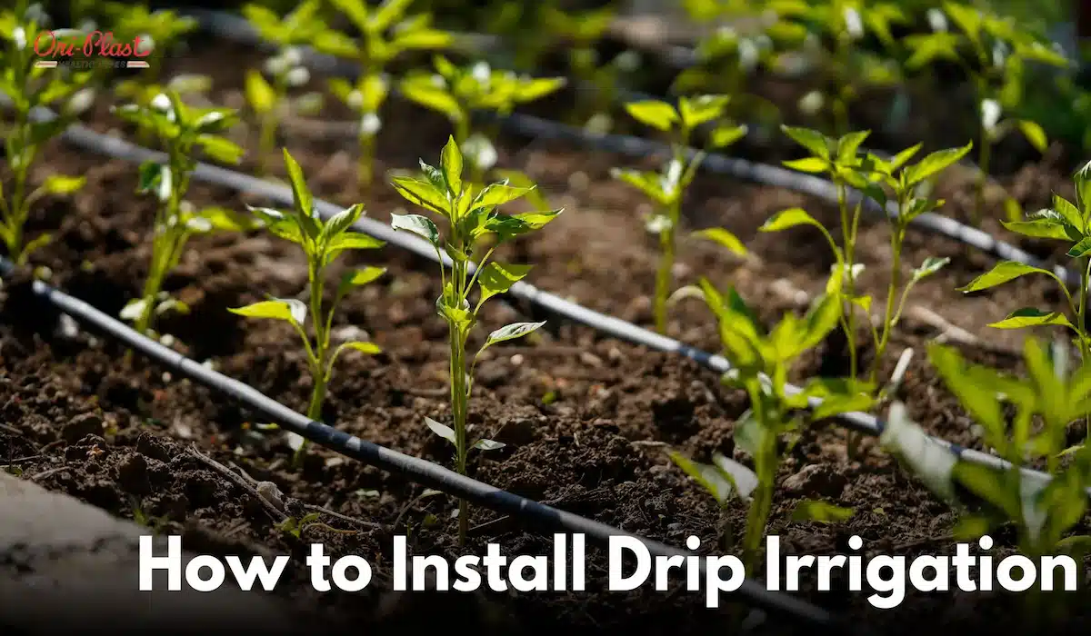 How to Install an Irrigation Drip System: Complete Step-by-Step Guide