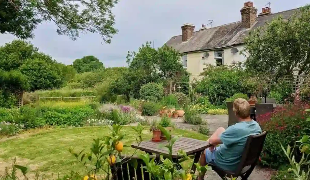 Beginner’s Guide to Wilderness Gardening