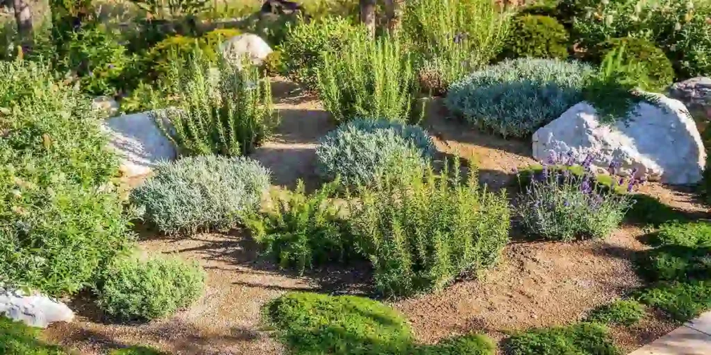 Best Plants for Erosion Control: Expert Tips from a Local Landscaper