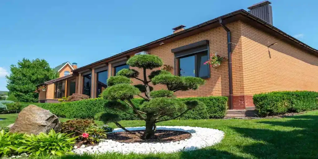 Expert Bonsai Care Tips for Palm Coast Gardens