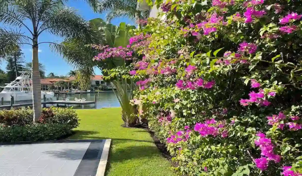 Salt-Tolerant Plants Florida Homeowners Love for Beautiful Coastal Landscapes
