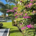 Salt-Tolerant Plants Florida Homeowners Love for Beautiful Coastal Landscapes