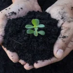What Is Loam Soil? | A Complete Expert Guide