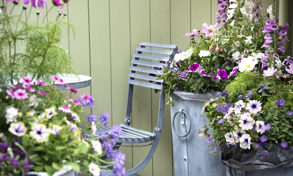 Flowering container plants grouped against a sheltered wall near a garden chair