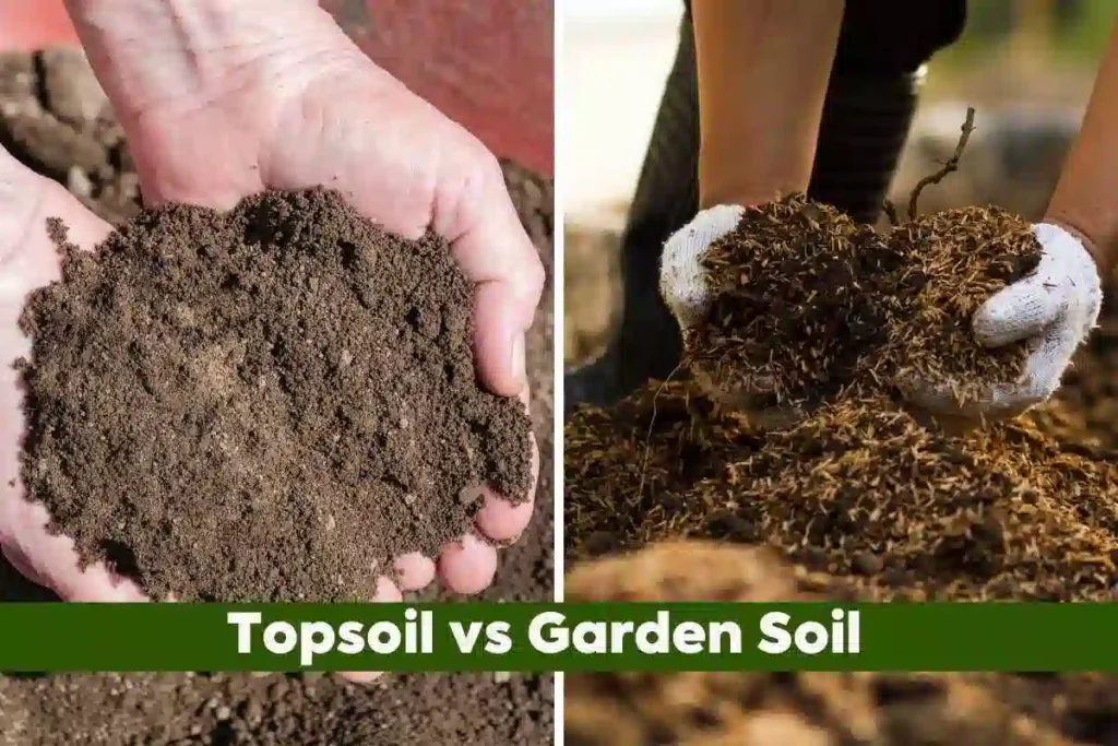 Topsoil vs Garden Soil: Which One Does Your Florida Yard Actually Need?
