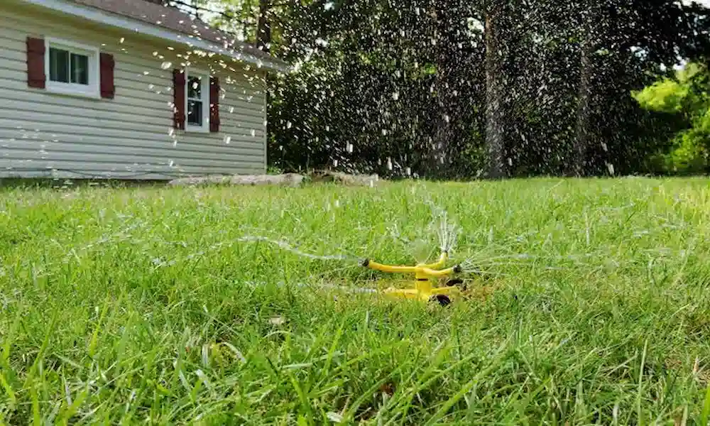 Sprinkler watering a green lawn in the morning during cool season