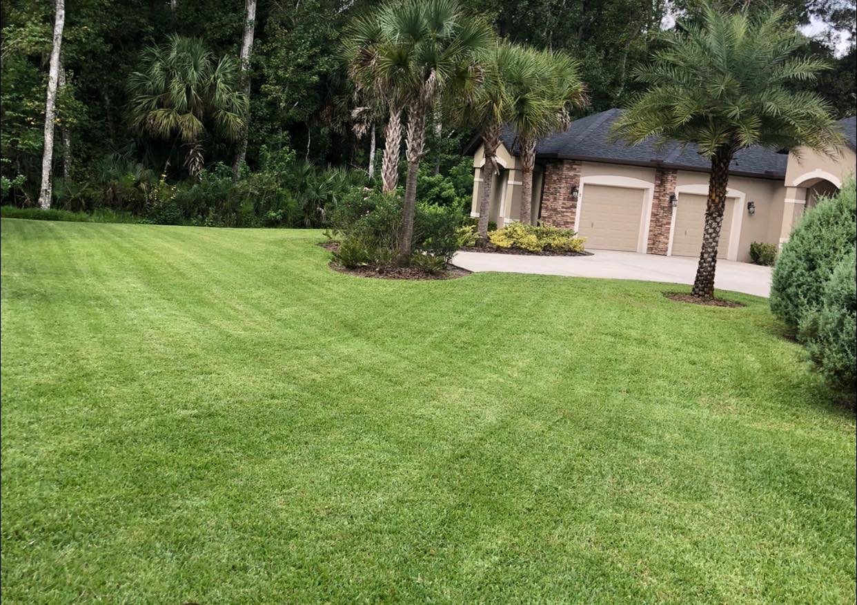 Irrigation System Check