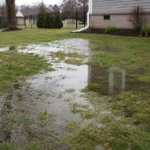 How to Fix a Muddy Backyard in Florida (2026 Guide)