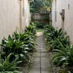 Side Yard Landscaping Ideas for Florida Homes (That Fix Real Problems)